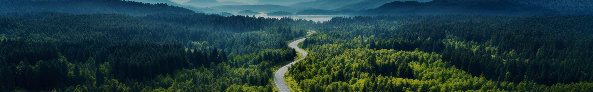 Jiangsu Hilo de plata y estaño Alambre y cables de alta temperatura Co., Ltd.